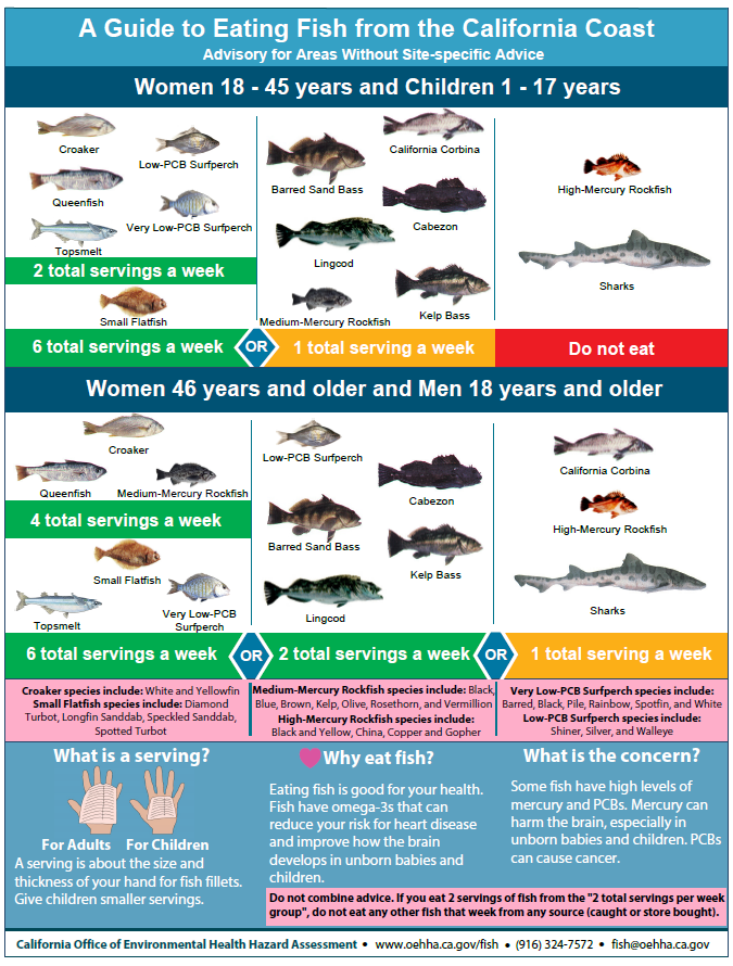 SafetoEat Fish from the San Francisco Bay San Mateo County Health