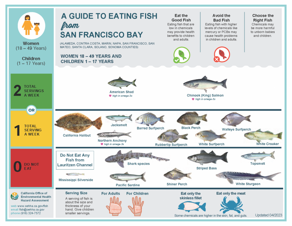 Some of the fish species that live in the San Francisco Estuary and