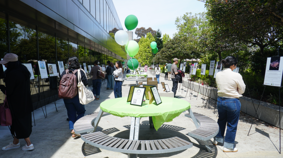 Outdoor table with photovoice frames displayed