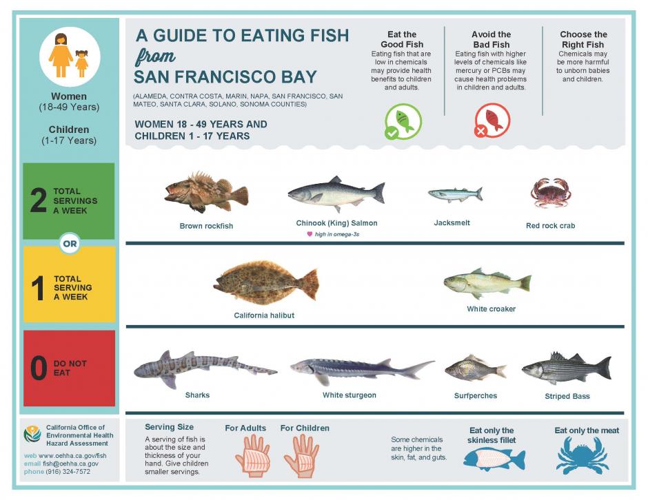 Safe Fish Pregnancy Chart