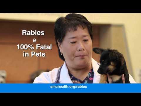 Animal Bites and Rabies