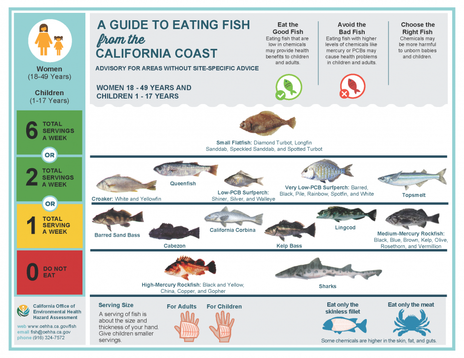 Mercury In Fish Chart