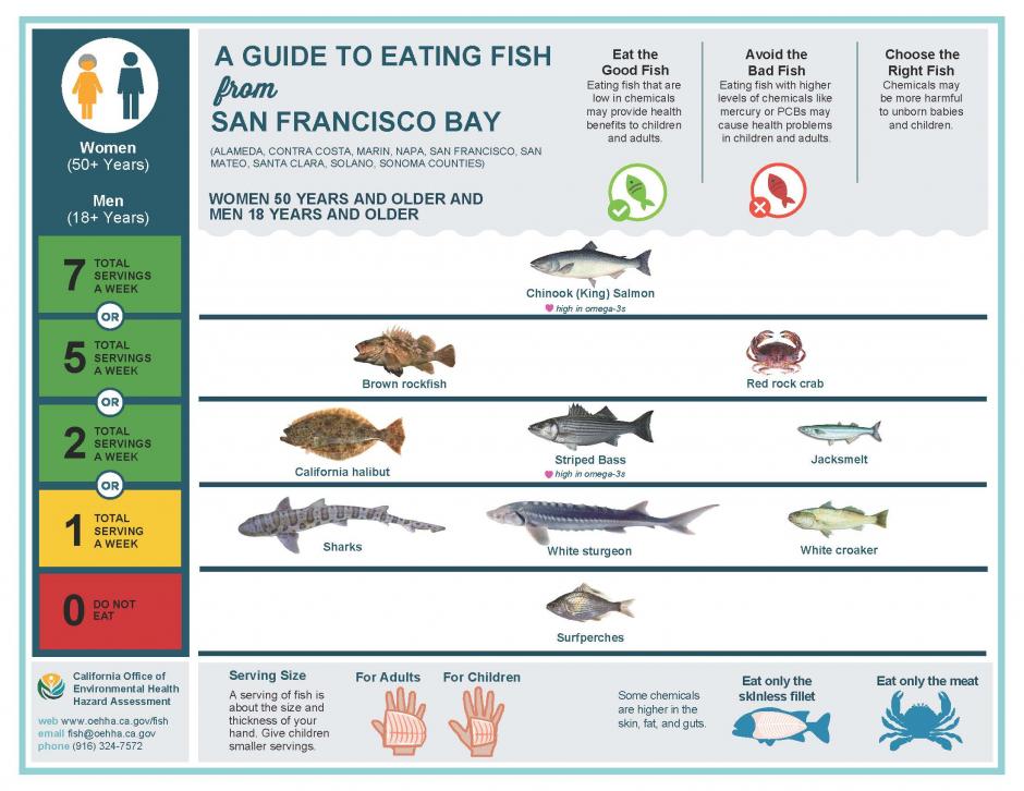 Mercury Levels In Fish Chart